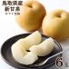  Tottori префектура производство новый . Izumi 6 шар груша фрукты фрукты нет .... мир груша коробка .. было использовано местного производства красный превосходящий синий превосходящий новый . Izumi груша нет плоды подарок .. фрукты .. для подарок ....... покупка 