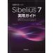  музыкальное сопровождение Sibelius7|silibe незначительный 7 практическое использование гид | стиль Note 