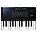 Roland Roland K-25M Keyboard Unit Boutique для клавиатура единица Mini клавиатура K25M