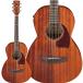 Ibanez Ibanez PN12MHE OPN (Open Pore Natural) электроакустическая гитара гитара новый yo- машина модель мягкий чехол приложен 