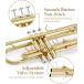 Eastar �C�[�X�^�[ ETR-380 Gold Standard Trumpet Bb �g�����y�b�g �S�[���h ��p�P�[�X/�N���[�j���O�L�b�g�t�� �֘A�摜3
