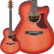  ограниченное количество 4000 иен OFF! Ibanez Ibanez AAM50CE CRO (Coral Red Burst Open Pore) электроакустическая гитара гитара мягкий чехол приложен 