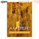 UJAM You jam Virtual Guitarist AMBER 2 Cross grade version [ mail delivery of goods cash on delivery un- possible ]