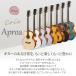 Eris. �G���X Aproa �A�R�[�X�e�B�b�N�M�^�[ ���S��12�_�Z�b�g ����Z�b�g �y���r���[�ŃT�C�����g�s�b�N�v���[���g�z �֘A�摜1