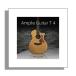 AMPLE SOUND усилитель * звук AMPLE GUITAR T 4 акустическая гитара специальный источник звука C7734 mail поставка товара наложенный платеж не возможно 