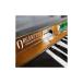 SOUNDIRON звук железный ORGANETTA soft источник звука C4403 mail поставка товара наложенный платеж не возможно 