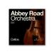 SPITFIRE AUDIO ���ԥåȥե����������ǥ��� ABBEY ROAD ORCHESTRA: CELLOS CORE ���եȲ��� ���������Ѳ��� C3122�᡼��Ǽ�� ������Բ�