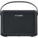 Roland CUBE Street MINI портативный усилитель Mini усилитель гитара клавиатура Vocal Mike соответствует MICRO CUBE / MOBILE AC пришедший на смену модель 