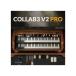 SAMPLESON образец sonCollaB3 Pro soft источник звука орган источник звука mail поставка товара наложенный платеж не возможно 