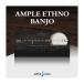 AMPLE SOUND усилитель * звук AMPLE ETHNO BANJO B1905 mail поставка товара наложенный платеж не возможно 