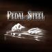 IMPACT SOUNDWORKS удар звук Works PEDAL STEEL mail поставка товара наложенный платеж не возможно 
