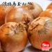 Awaji Island [ шар лук порей ]5 kilo размер количество оставив решение кому-то другому шар лук порей .. лук репчатый oni on прекрасный тест ....