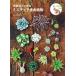  resin clay . work . miniature succulent plant :.... many meat .... plant ... a little . real . miniature ..( new goods )[10 times middle ]
