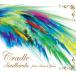 ( прокат )Soulbirds featNieve &amp; Jean [CD] Cradle