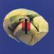 ( прокат )NATURAL - T-SQUARE [CD] T-SQUARE