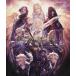 (USED) Final Fantasy XIV лаковый чёрный. vi Ran z Battle job& Dan John официальный гид (SE-MOOK)sk одежда * enix 