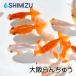  goldfish | Osaka golgfish 5 pcs 