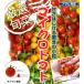 [ мини помидоры семена ] Asahi выращивание [ микро помидор ] серии красный * желтый 20 шарик *12 месяц после. доставка предположительно 