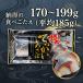 �ł��������߂��� 4L�T�C�Y ���ߎI ���Y���� �Ⓚ �傫���@�M�t�g ���蕨 �v���[���g ��y�Y �֘A�摜2