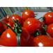  высота сахар раз мини помидоры ~ красота ~1kg