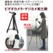 �O�r �r�f�I�J����  129cm �R���p�N�g �y�� ��჌�t  ���\�� ���V�Y�� �L�O�� �^���� �֘A�摜1