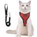  кошка кошка для Harness шлейка кошка ... кошка . кошка . собака маленький размер собака прогулка выход выпадение нет лучший soft ... легкий голова . через .. текстильная застёжка .