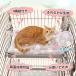 PAWZ Road �L�x�b�h �y�b�g�x�b�h �}�b�g �P�[�W�p ���ʎg�p �Y���h�~ ���藎���h�~ �n�����b�N �l���R�t�� ��� ��v �ʔN���p 2 �֘A�摜1