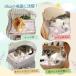 PAWZ Road �L�x�b�h �y�b�g�x�b�h �}�b�g �P�[�W�p ���ʎg�p �Y���h�~ ���藎���h�~ �n�����b�N �l���R�t�� ��� ��v �ʔN���p 2 �֘A�摜4