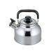  сирень can IH соответствует дудка дуть широкий . чайник 2.7L