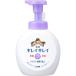 キレイキレイ薬用泡ハンド本体大フローラルソープ