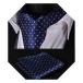 [HISDERN] ascot tie men's silk navy blue navy neka chief man formal scarf stylish peiz Lee wedding gentleman jen