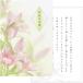 .. return greeting shape card 5 sheets full middle .. four 10 9 day funeral .. shape (KG202-5..)