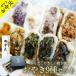  Father's day gift present early stage privilege 2024 dumpling oyaki 9 kind assortment side dish your order 