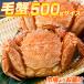  четырёхугольный волосатый краб 500g передний и задний (до и после) × 1 хвост шерсть .... Hokkaido o сигнал tsuk море краб краб miso четырёхугольный волосатый краб подарок . краб праздник День почитания пожилых людей .. праздник лет .. лет . подарок по случаю конца года 