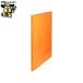  прозрачный файл Viewt n clear книжка имя in A4S 20P orange 
