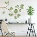 RoomMates RMK4080GM Leaf Twig Peel And Stick Giant Wall Decals,Green, Brown, Yellow