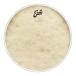  Evans EQ4 машина f цветный 16 дюймовый большой барабан для head EVANS BD16GB4CT
