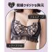 �u���W���[ �V���[�c�Z�b�g �傫���T�C�Y �m�����C���[ �N���~ �N���~����� �u���Z�b�g �u���V���[ �u���W���[�Z�b�g ����� �h�J �ɂ��Ȃ� �T�����I �֘A�摜4