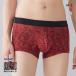 �O���[ GUNZE �{�f�B���C���h BODY WILD �{�N�T�[�p���c �����Y �z������ ���[���C�Y�{�N�T�[ �O�Ƃ� ���� �����Y���� �j������