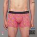  Gunze BODY WILD T.Rex рисунок боксеры передний .. мужской хлопок .GUNZE корпус wild 