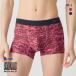  корпус wild боксеры EZX мужской передний ..BODYWILD