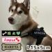  большой собака нашивка имя ввод Harness Julius k9 идентификационная бирка собака вышивка именная бирка хаски золотой 