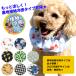 �ڐG�⊴�^�C�v�� ���p �N�[���o���h���ۗ��5�� �Z�b�g �����΍� �M���Ǒ΍� �⊴ �Ђ���O�b�Y �y�b�g�p �N�[���l�b�N ���� �h�b�g �`�F�b�N �p�C�� ���� �� �֘A�摜3