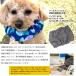 �ڐG�⊴�^�C�v�� ���p �N�[���o���h���ۗ��5�� �Z�b�g �����΍� �M���Ǒ΍� �⊴ �Ђ���O�b�Y �y�b�g�p �N�[���l�b�N ���� �h�b�g �`�F�b�N �p�C�� ���� �� �֘A�摜4