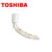 TOSHIBA/ǥ饤ƥå DS2611C-YO-HIMO ΥԡåѤҤڼʡ