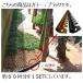 �@�l�l���� ���T�C�N���G�b�W���OQ�^�C�v �v���G�b�W�R�T�h���V�[�g���؂U�l�~�P�O�g�u���b�N ���͂��G���A�{�B����