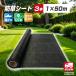 �h���V�[�g 1m�~50m 3�{�Z�b�g �_�p�V�[�g �����V�[�g �G�� �Ő� ������ �ϋv�N�� �G���΍�
