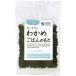 o-sawa. . черепаха .. .. ..(20g)o-sawa Japan 