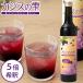  black currant. .<5 раз разбавление >(500ml).. фирма 