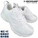  водоотталкивающий спортивные туфли Dunlop li штраф doM2011 белый 22.5cm~30cm спортивные туфли обувь шнур обувь спортивная обувь посещение школы обувь рабочая обувь белый обувь белый спортивные туфли 4E легкий 